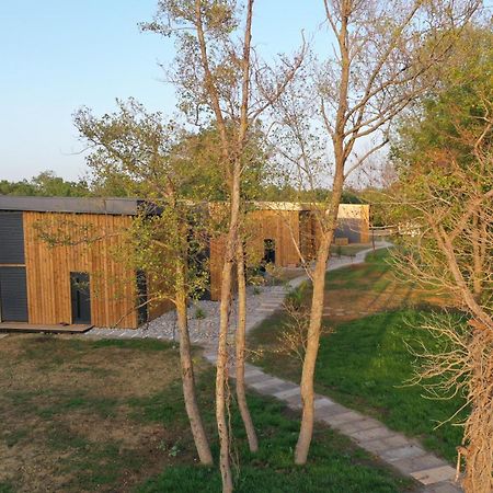 Villa Salinas Nest - Ulcinj Stoj Ada Bojana Esterno foto