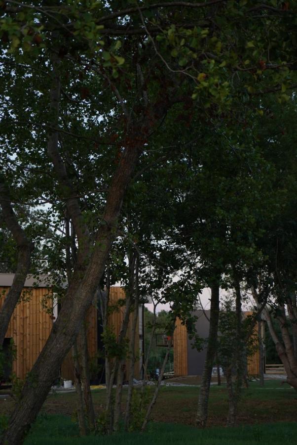 Villa Salinas Nest - Ulcinj Stoj Ada Bojana Esterno foto